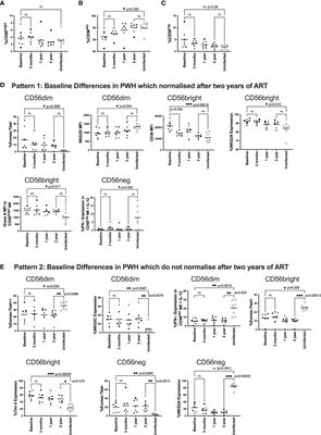 Impact of antiretroviral therapy in primary HIV infection on natural killer cell function and the association with viral rebound and HIV DNA following treatment interruption